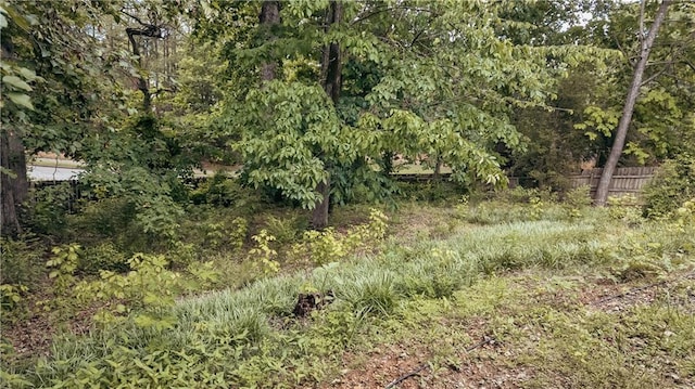 view of undeveloped land