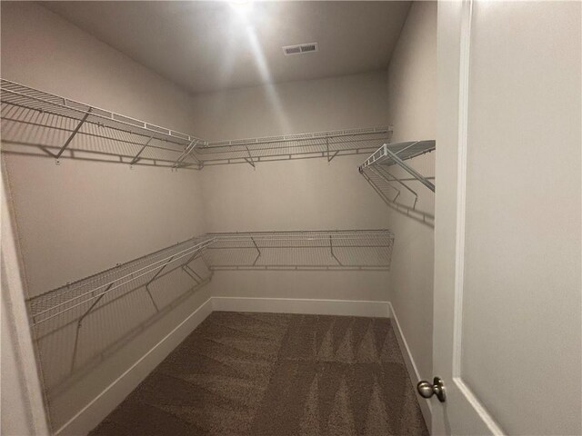 328 Willow Cv, Canton, GA 30114 - walk in closet with carpet floors