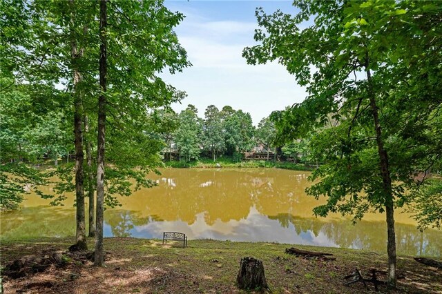 1775 Porterton Way, Cumming, GA 30041 - water view