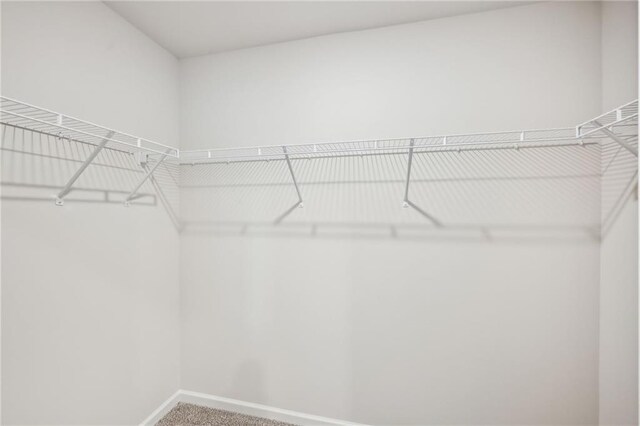 2770 Aralynn Way, College Park, GA 30337 - walk in closet with carpet floors
