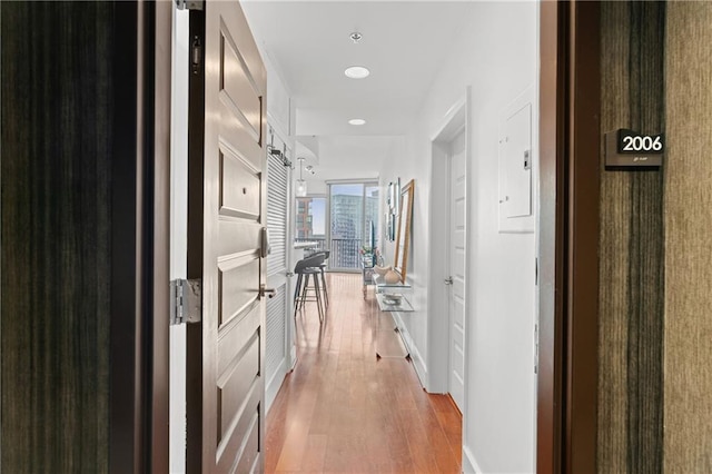 hallway featuring wood-type flooring