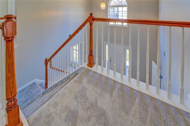 stairs featuring carpet flooring