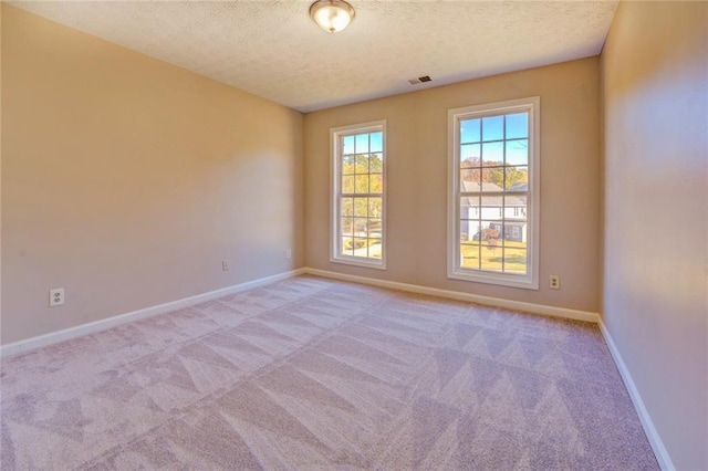 spare room featuring light colored carpet and a textured ceiling