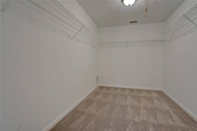 spacious closet with light carpet