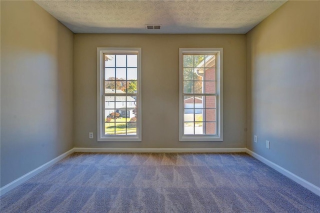 unfurnished room with carpet, plenty of natural light, and a textured ceiling