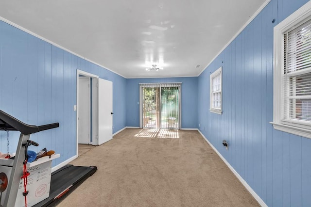 2648 Oswood Dr, Tucker, GA 30084 - spare room with crown molding, light colored carpet, baseboards, and wooden walls