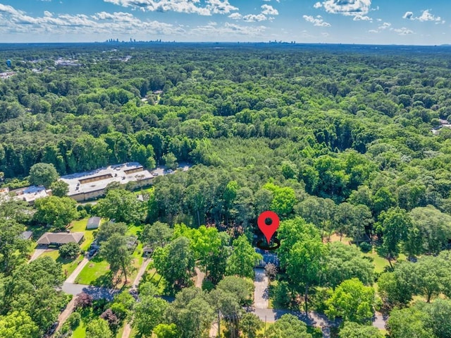 2648 Oswood Dr, Tucker, GA 30084 - bird's eye view of a forest
