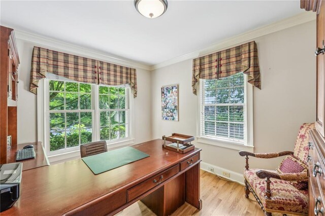 office space with light hardwood / wood-style flooring, crown molding, and plenty of natural light