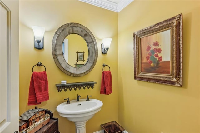 bathroom featuring sink and crown molding