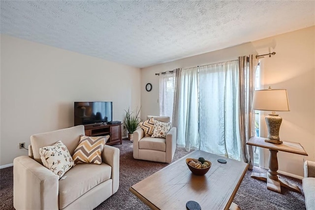 carpeted living room with a textured ceiling