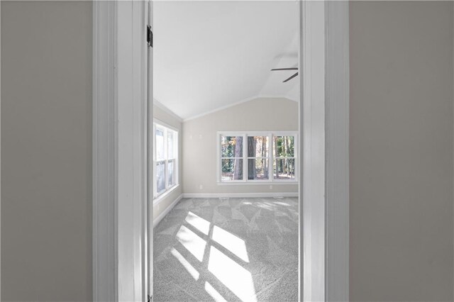 carpeted spare room with ceiling fan and vaulted ceiling