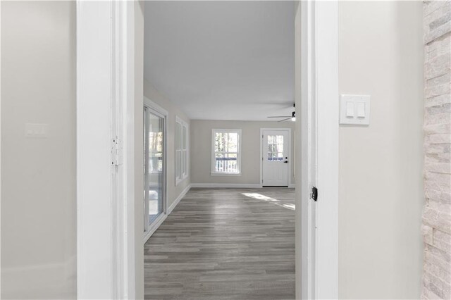 hallway featuring dark wood-type flooring