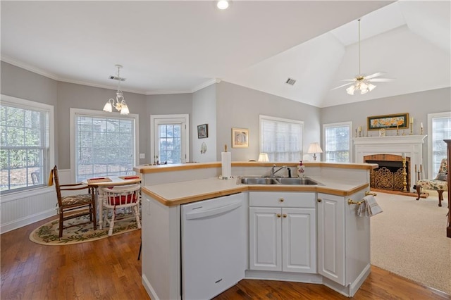 kitchen featuring a wealth of natural light, a sink, a fireplace, and white dishwasher