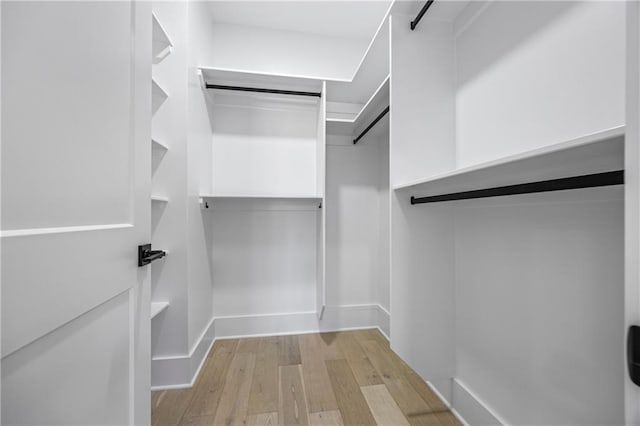 6238 Mount Salem Cir, Flowery Branch, GA 30542 - spacious closet featuring light wood finished floors