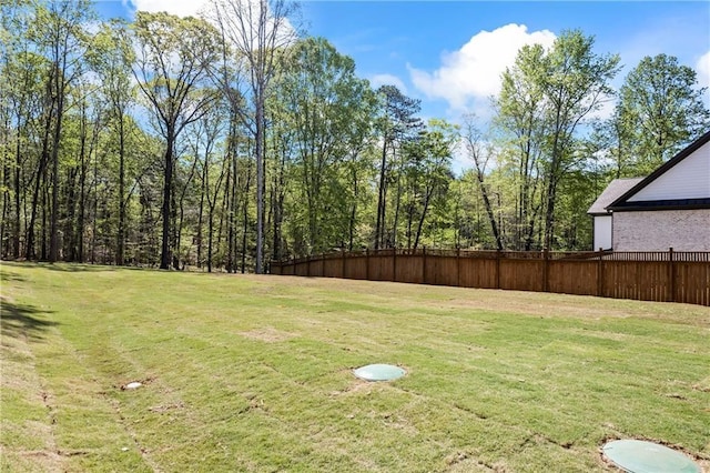 6238 Mount Salem Cir, Flowery Branch, GA 30542 - view of yard