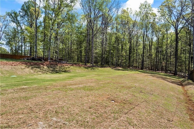6238 Mount Salem Cir, Flowery Branch, GA 30542 - view of green lawn