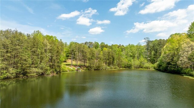 water view with a wooded view