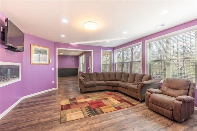 living room featuring wood-type flooring
