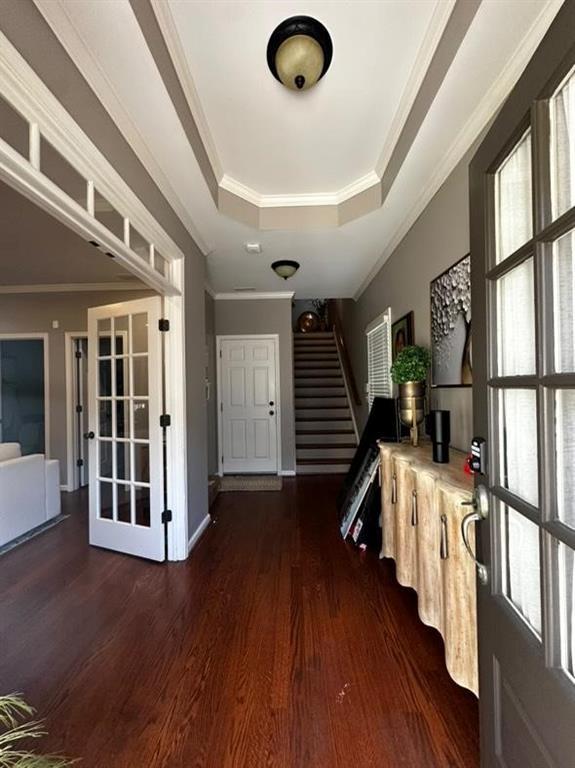 foyer entrance featuring dark hardwood / wood-style flooring, a tray ceiling, plenty of natural light, and ornamental molding