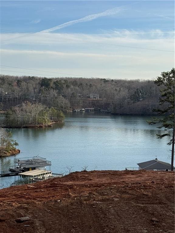 view of water feature featuring a boat dock