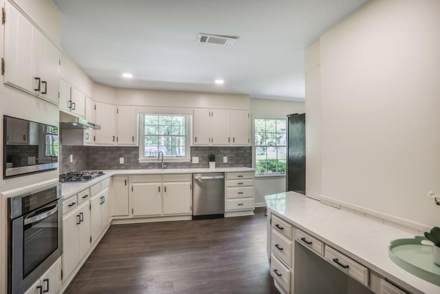 kitchen with stainless steel appliances, healthy amount of natural light, light countertops, under cabinet range hood, and recessed lighting