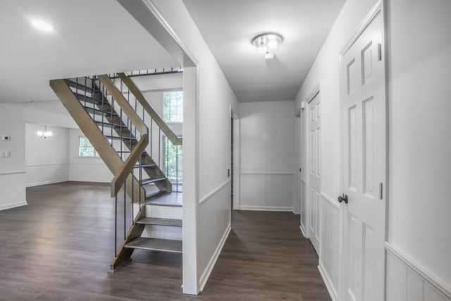 staircase featuring wood finished floors, wainscoting, and a decorative wall