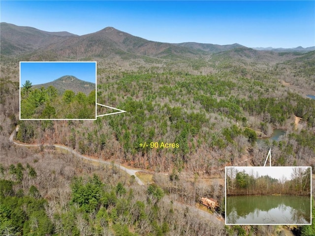 0 Walter Rd, Sautee Nacoochee GA, 30571 land for sale