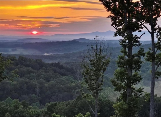 0 Twisted Oak Rd, Talking Rock, GA 30175