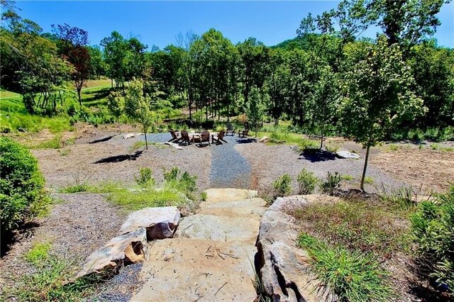 0 Twisted Oak Rd, Talking Rock, GA 30175
