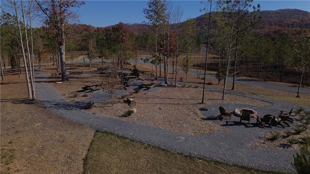 0 Twisted Oak Rd, Talking Rock, GA 30175