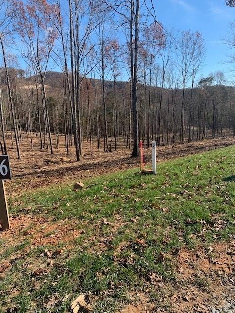 0 Twisted Oak Rd, Talking Rock, GA 30175