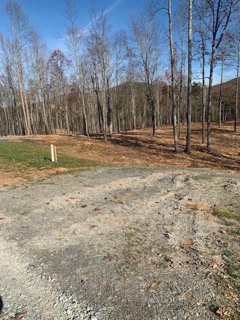 0 Twisted Oak Rd, Talking Rock, GA 30175
