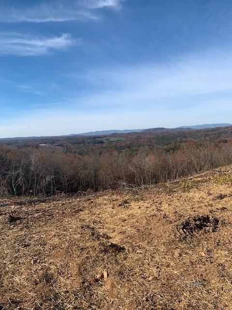 0 Twisted Oak Rd, Talking Rock, GA 30175