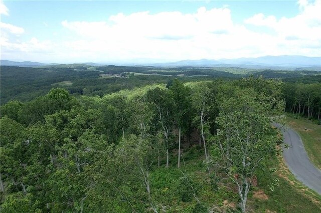 0 Twisted Oak Rd, Talking Rock, GA 30175