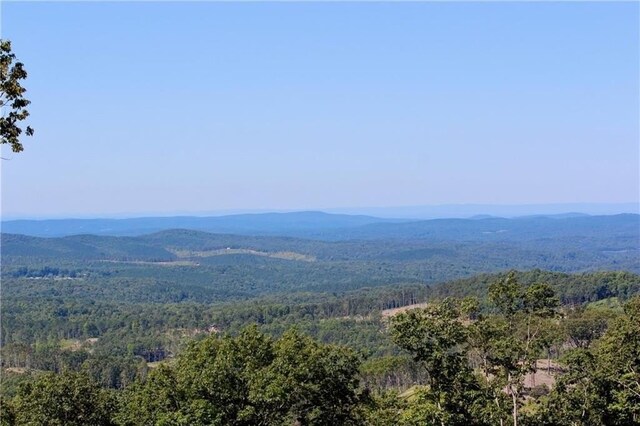 0 Twisted Oak Rd, Talking Rock, GA 30175