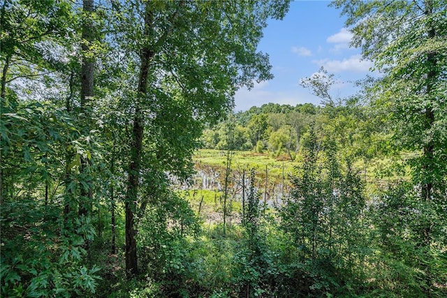 view of local wilderness featuring a water view