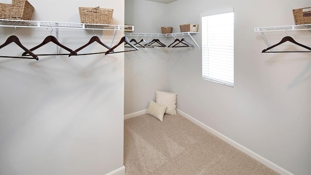 walk in closet with carpet