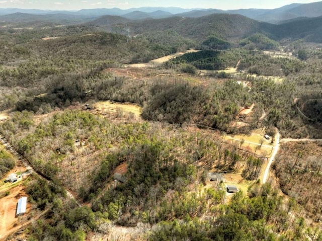 5AC Pack Creek Rd, Blue Ridge GA, 30513 land for sale