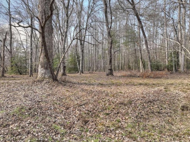 Listing photo 3 for 5AC Pack Creek Rd, Blue Ridge GA 30513