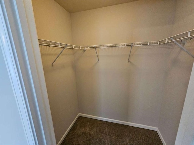 1021 Rock Elm Dr, Auburn, GA 30011 - spacious closet featuring dark carpet