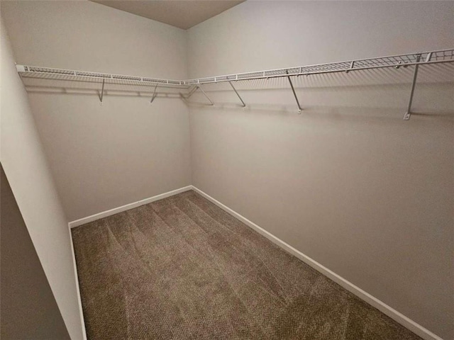 1021 Rock Elm Dr, Auburn, GA 30011 - spacious closet featuring dark carpet