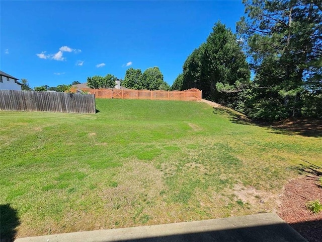 1021 Rock Elm Dr, Auburn, GA 30011 - view of yard