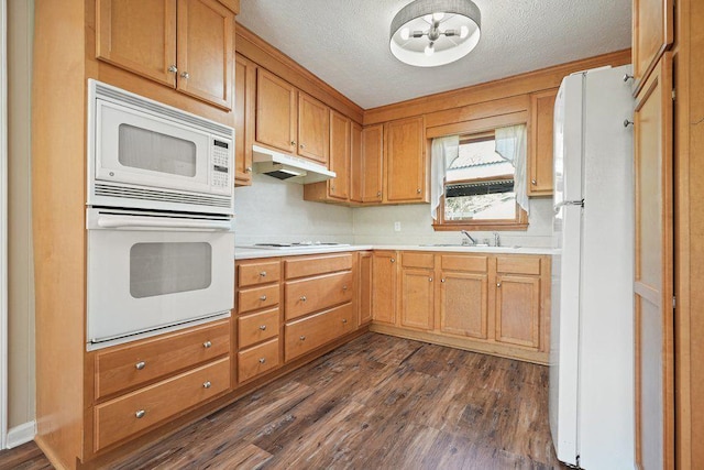 kitchen with light countertops, white appliances, dark wood finished floors, under cabinet range hood, and a sink