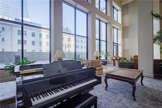 miscellaneous room featuring a wealth of natural light and a high ceiling