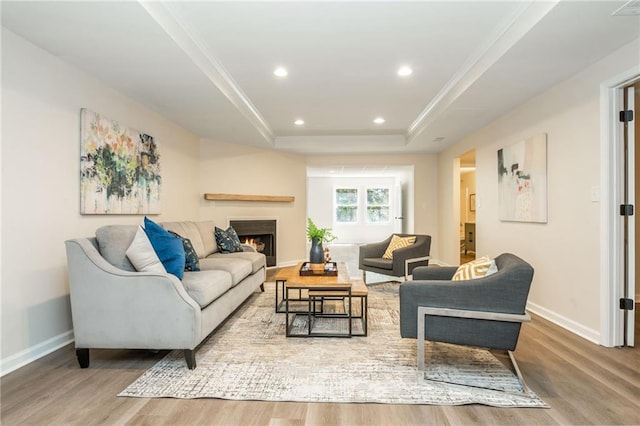 1096 Bridge Mill Ave, Canton, GA 30114 - living area with a raised ceiling, wood finished floors, ornamental molding, baseboards, and a lit fireplace