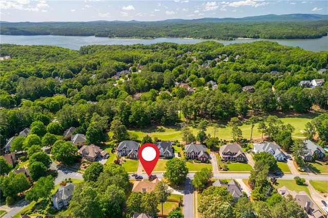 1096 Bridge Mill Ave, Canton, GA 30114 - aerial perspective of suburban area with a heavily wooded area and a large body of water