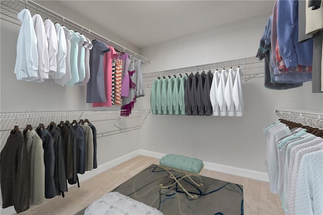 791 Belrose Dr, Smyrna, GA 30080 - walk in closet with carpet floors