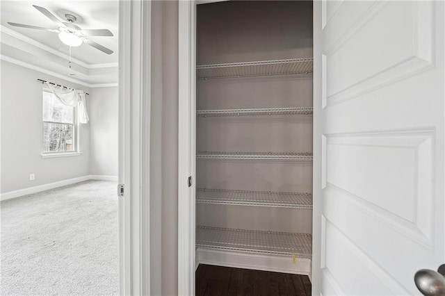 view of closet