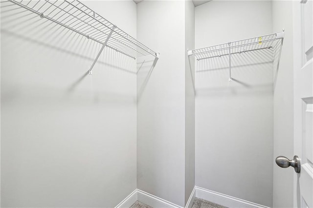 view of walk in closet