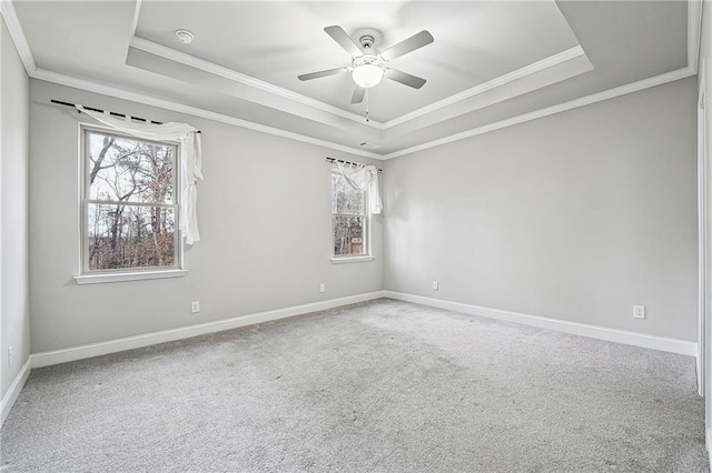 empty room with a healthy amount of sunlight, carpet, a tray ceiling, and baseboards